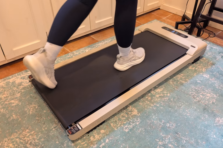 8 Best Walking Treadmills for Joint Support in 2026
